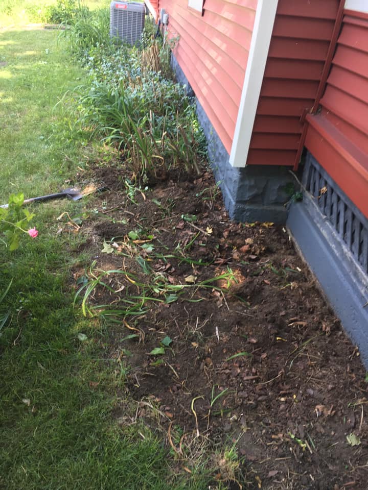 brush removal in the Chicagoland Area4