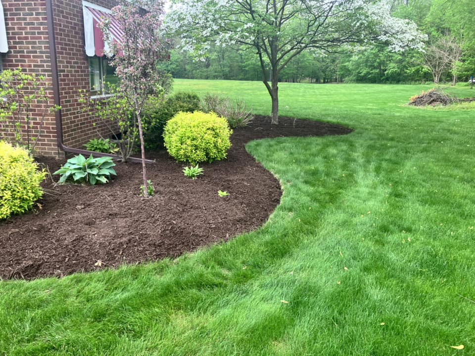 brush removal in the Chicagoland Area4