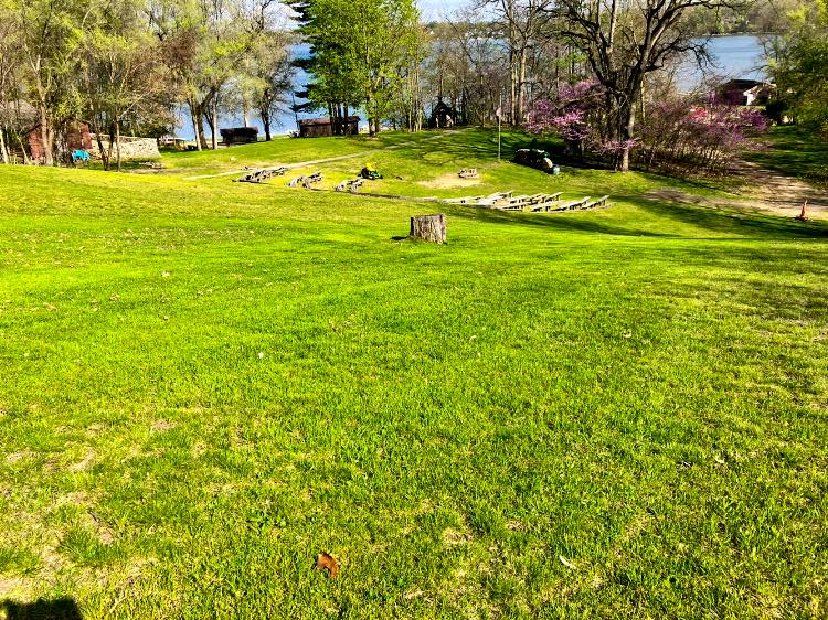 brush removal in the Chicagoland Area3