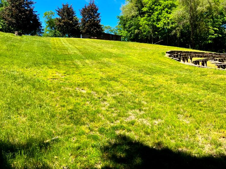 brush removal in the Chicagoland Area4