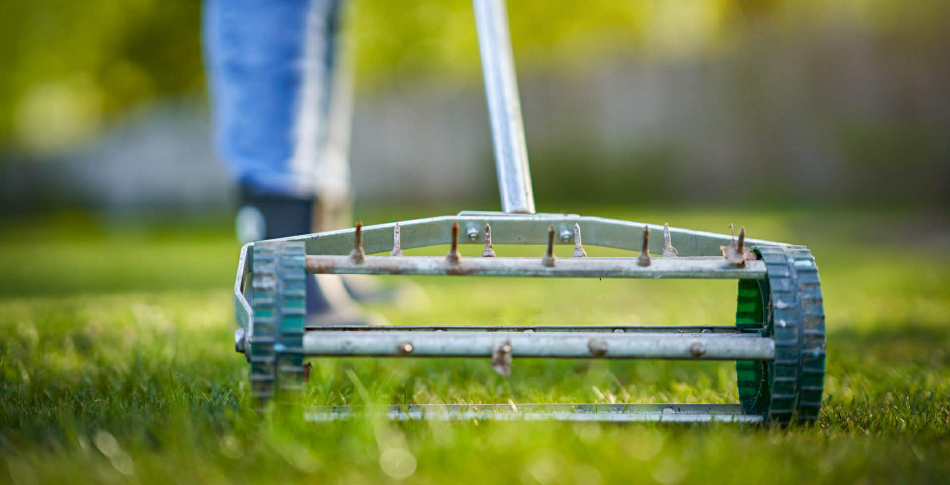 brush removal in the Chicagoland Area3