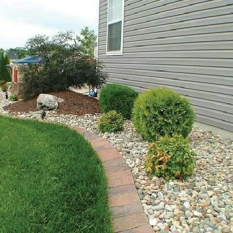 brush removal in the Chicagoland Area4