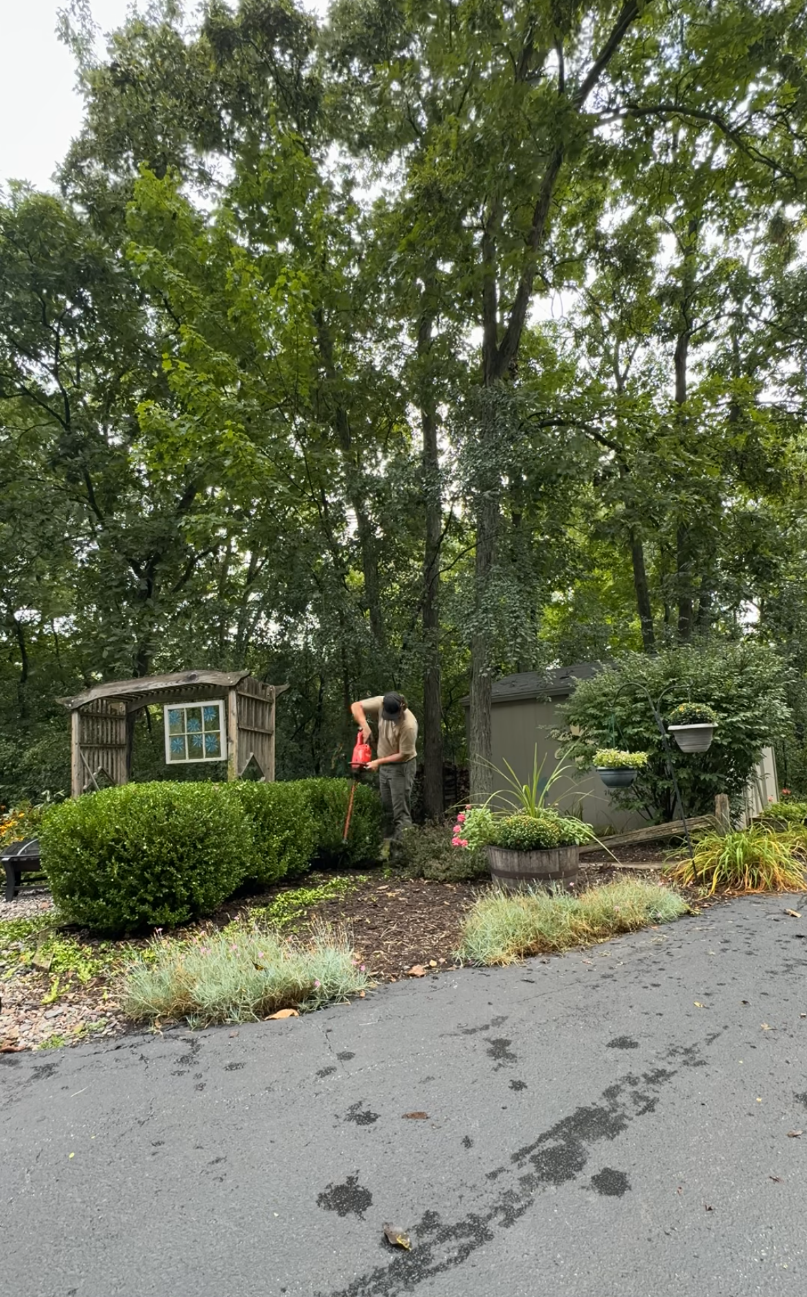 brush removal in the Chicagoland Area4